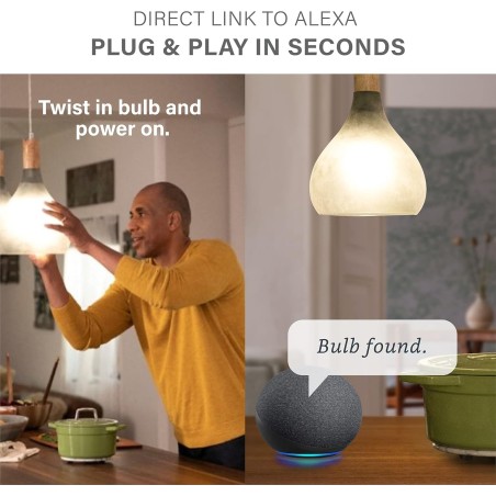 Smart Buld