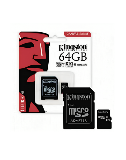Micro SD Kingston (64 GB)