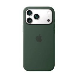 Silicon Case (Serie 17)