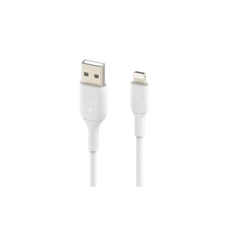 (Apple)  Cable Lightning USB